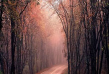 建行贷款提前还款违约金吗